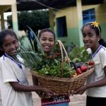 Novo Pronacampo: prazo para adesão é prorrogado até 30/11