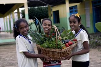 Novo Pronacampo: prazo para adesão é prorrogado até 30/11