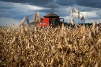 Inmet prevê trimestre de transição climática com risco de estresse hídrico para a segunda safra