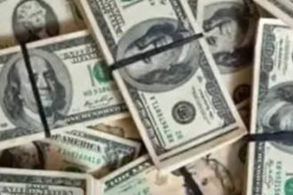 Dólar fecha último pregão cotado a R$ 4,89
