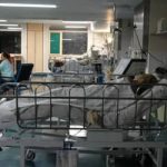 InfoGripe: doenças respiratórias seguem em alta em todas as faixas etárias