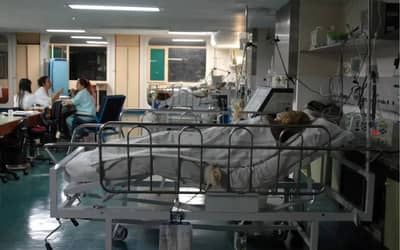 InfoGripe: doenças respiratórias seguem em alta em todas as faixas etárias