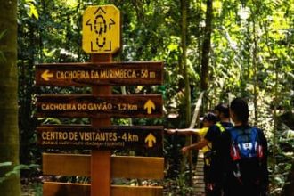 Turismo de natureza: estudo aponta retorno de R$ 15,60 para cada real investido em unidades de conservação