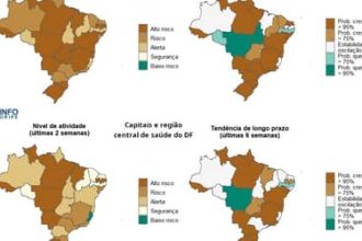 InfoGripe: VSR, influenza e rinovírus elevam casos de síndrome respiratória grave no país