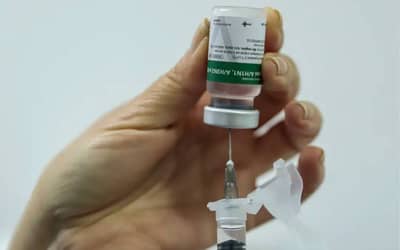 InfoGripe alerta para aumento das internações por VSR e influenza A e B