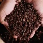 Café hoje:confira as cotações para esta quarta-feira (8)