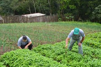 Desenrola Rural no Banco da Amazônia: agricultores familiares podem renegociar dívidas com descontos de até 80%