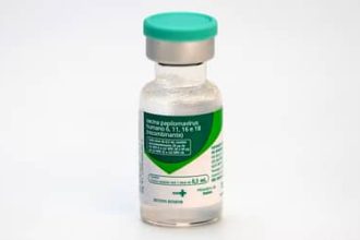 Ministério da Saúde estende campanha de vacinação contra HPV para jovens de 15 a 19 anos até o fim de 2026