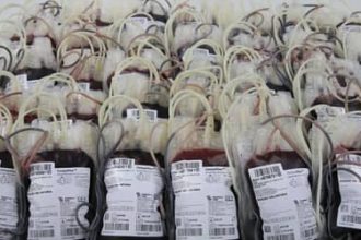 Mar Vermelho? Novas regras para doadores de sangue exigem adaptações de municípios