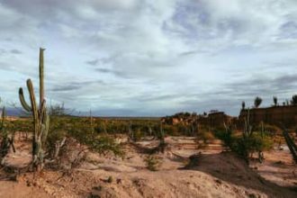Mudanças climáticas podem levar Brasil a ter 12 dias de racionamento de água por ano até 2050