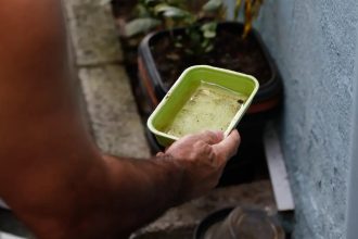Dengue: São Paulo registra mais de 58 mil casos de dengue desde o início de 2026