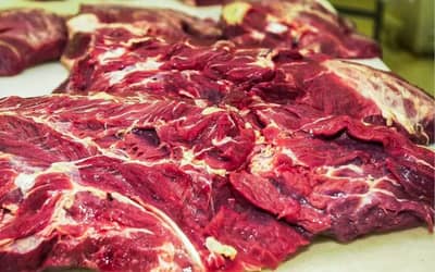 Goiás tem prejuízo de US$ 16,8 milhões por mês com restrição da UE à carne brasileira