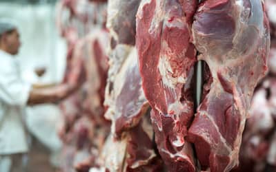 UE suspende importações de carnes do Brasil e setor busca alternativas