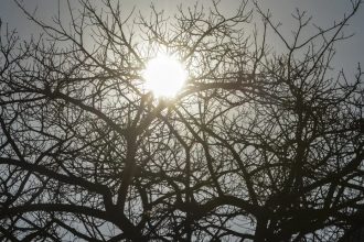 El Niño: agro da Região Centro-Oeste deve antecipar medidas para reduzir efeitos da seca