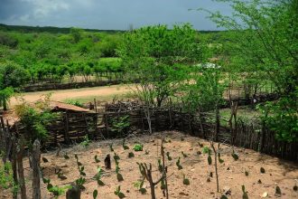 El Niño: agro do Nordeste deve priorizar conservação do solo, uso eficiente da água e formação de reservas