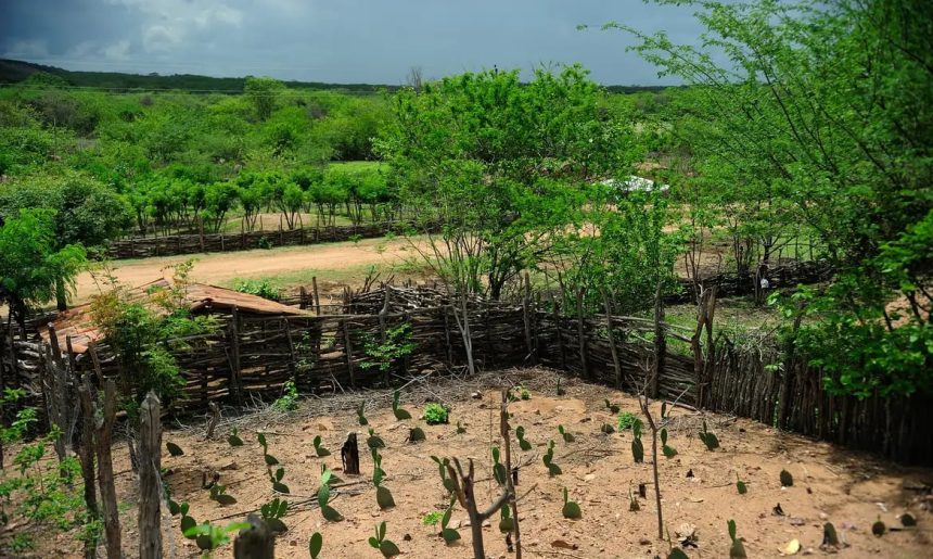 El Niño: agro do Nordeste deve priorizar conservação do solo, uso eficiente da água e formação de reservas
