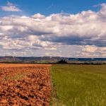 El Niño: plataforma reúne orientações para produtores rurais na safra 2026/2027