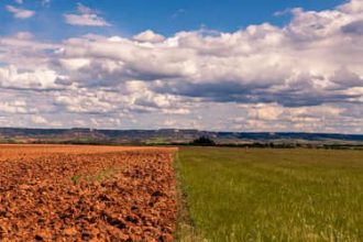 El Niño: plataforma reúne orientações para produtores rurais na safra 2026/2027