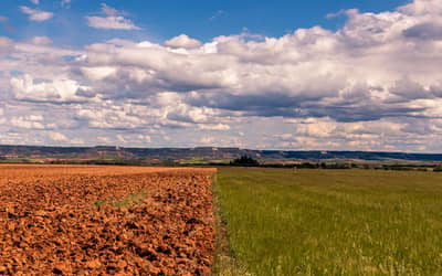 El Niño: plataforma reúne orientações para produtores rurais na safra 2026/2027