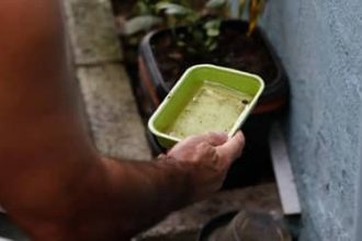 Quase metade dos municípios está em alerta ou risco para presença do Aedes aegypti